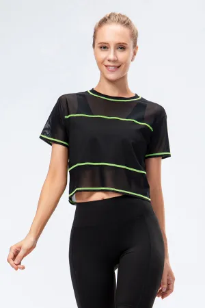 Crew Neck Cropped Short Sleeve T-Shirt Sheer