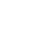 Dear Santa, Cats. I want Lots And Lots Of Cats
